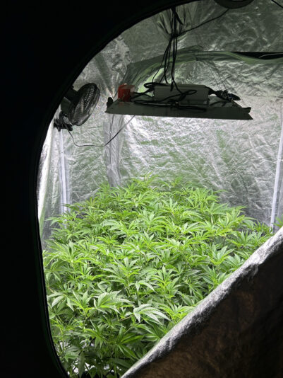 D38EE4D4-4880-4362-809E-E7BA8746CC22