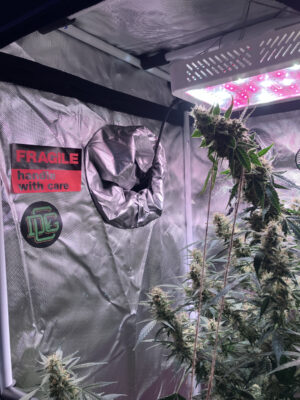 06360FB7-99FF-42BD-83A2-82FE94ECF26D