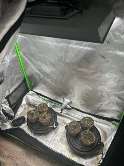 0F5C0DC2-4AF2-472C-8824-8DF86C6B4A72