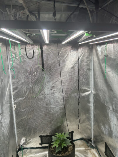 9934FCD4-5729-4FA8-94B7-E3B2BD337A7C