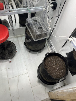 C6C5A808-BB16-4540-9F09-B7390D6F8B87