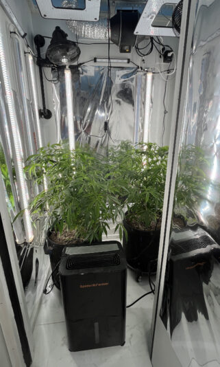 125852FE-F276-4E68-8F99-039027CD2A81