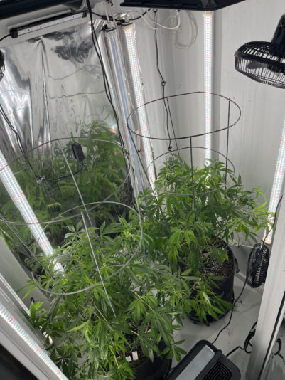 1271B3A0-EA34-40B8-AB77-47064C26AEAC