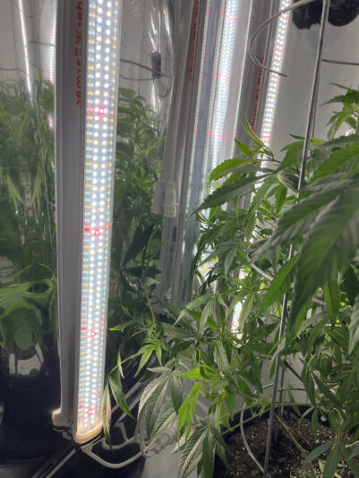 95CA9735-E362-4272-A58C-5ED1EE0A0FB5