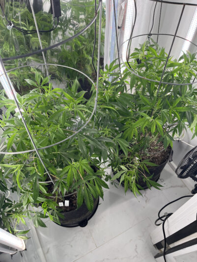 CFA1C4E4-68AC-44C5-AC5C-1B8FC349EB6C