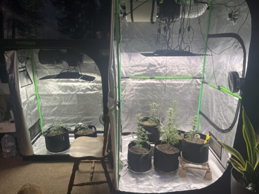 931B84E1-D527-4E15-92DB-377DCF53125A