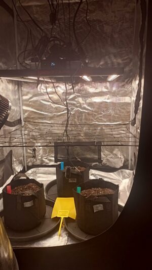 86e35bc3-6c82-4fa4-a6ff-be0add356052