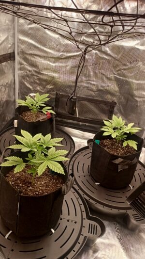 919c5794-0155-4b2e-a8f2-15aad1b46ba9