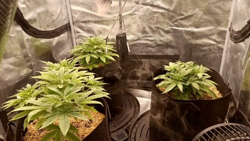 e4a62193-0f37-45c5-8cdb-c47d44a99a35