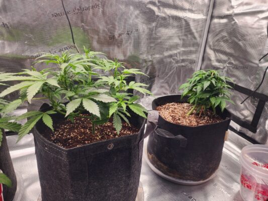 2073cf38-3dca-40c6-b923-4fc04b2e1c2e