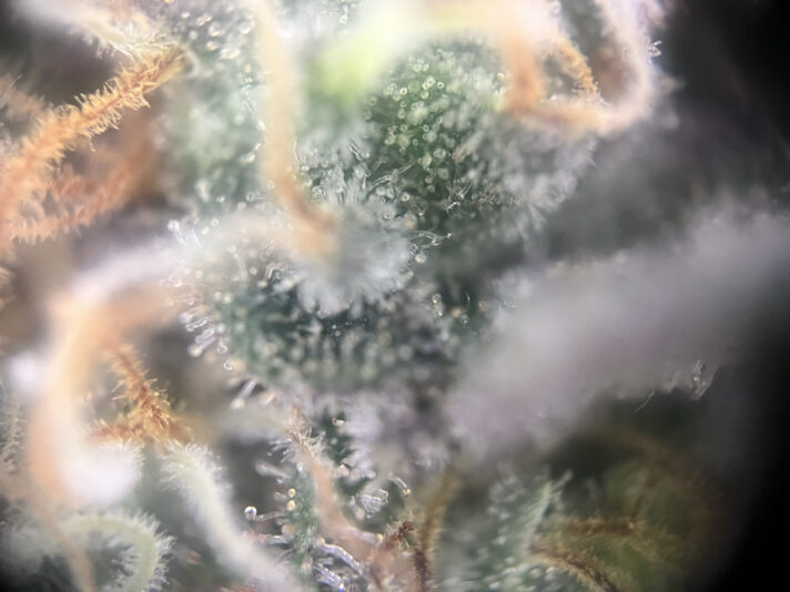 5B30DAF0-B6DB-48EC-922D-7B3CB103BC6B