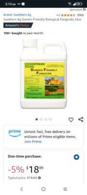 Screenshot_2025-01-21-02-13-15-295