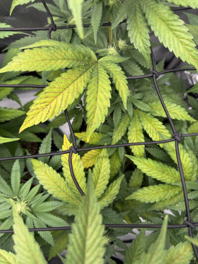 03065B8A-000C-476E-9696-899FF6D2AA9C