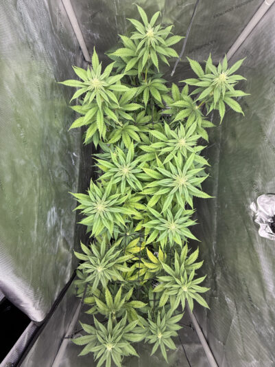 A7657B09-7FBE-454C-A214-AC0FA09CF2F9