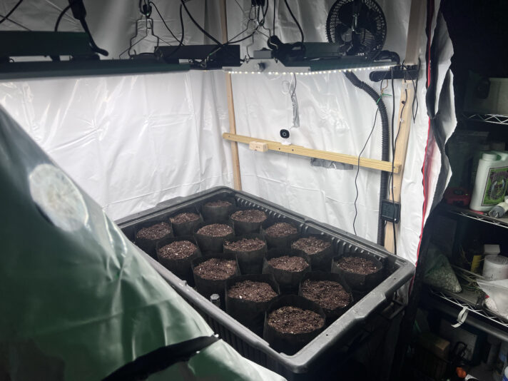 11428497-54BE-4850-AD8E-767491B66BFE