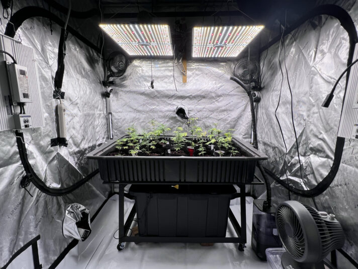 D6B3FBD4-7646-4DA0-8952-16A9ED8CC851