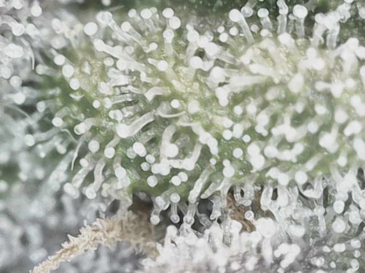 Image_2025-01-23 08_08_49_194