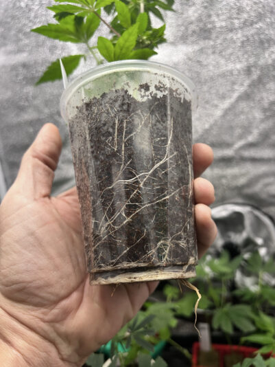 4E8CD46A-C745-4608-AF53-9FAEEA2725B8