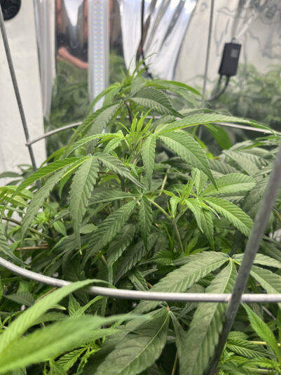 265214B0-521E-4D47-879E-D6796AADC324