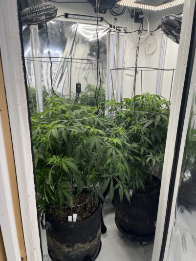 A313718B-C6D5-4F96-AF45-15393F58320A