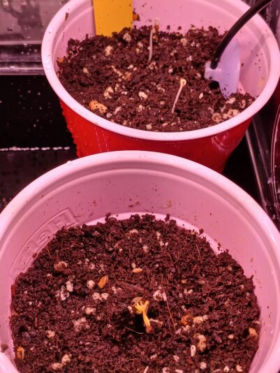 04ffcd0d-20c5-4c5e-96f8-18e3c5072375