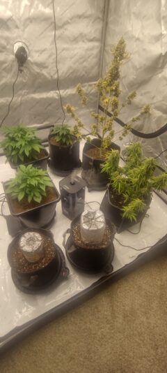 IMG_20250126_103726349_HDR