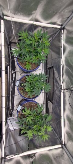 IMG_20250126_103957338_HDR