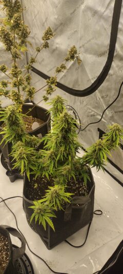 IMG_20250126_103541244_HDR