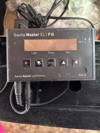 9EAF19A4-93CC-4EE4-813F-3CD5921995D3