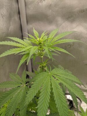 PXL_20250127_234829496