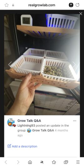 Screenshot_20250129_203702_Samsung Internet