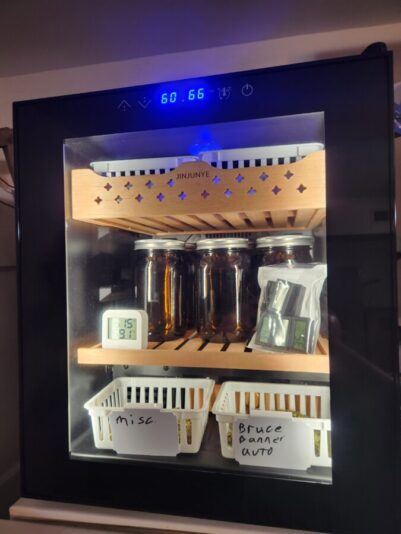 20240925_140246-675x900