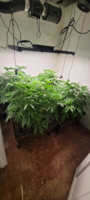 e99e6ba0-4a8d-4bab-b72a-2dff869784f6