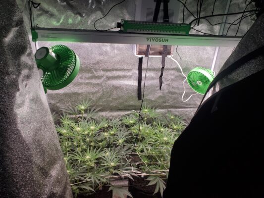 17394722708088562033871655448267