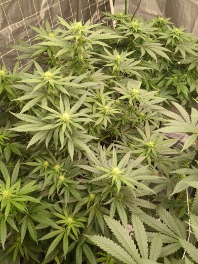 b865a644-d19f-4461-bcc8-3b9f2b6e8f45