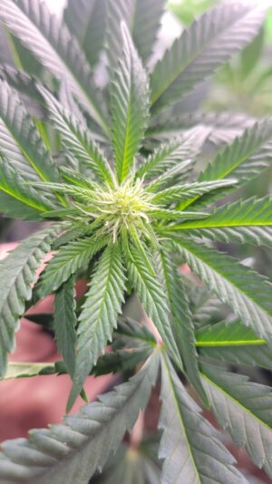 93b2e366-830e-4928-a93c-ec23a3495f85