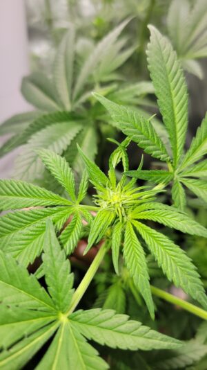 bb8956a2-76d7-476b-9c8e-570d48e4a9e0