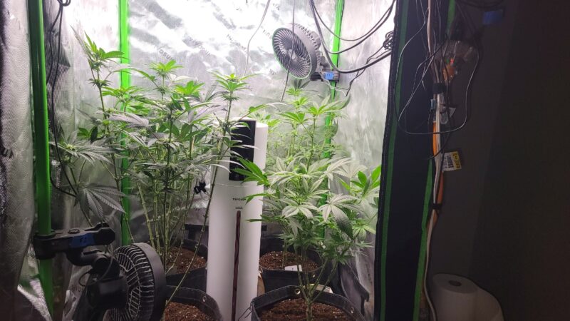 f9b29e5e-678b-4cf4-84cb-756515b54922