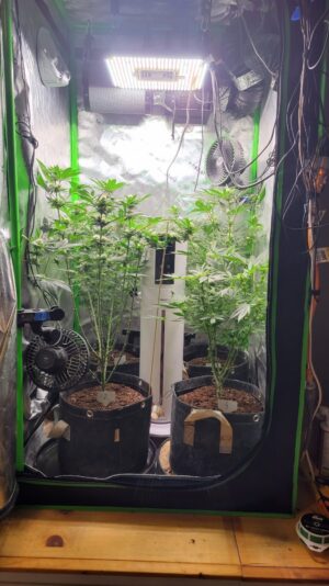 027dbf97-063b-4279-8f71-962344cdebc4