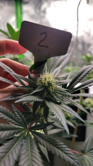 de5d945c-fff9-41bb-8e4e-8495f801604b