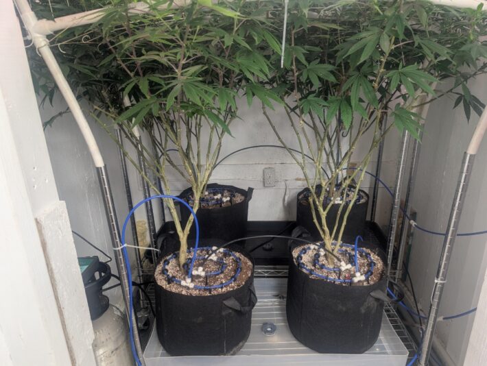 1a3a592d-6086-46fc-abb5-d2d00c142bb0