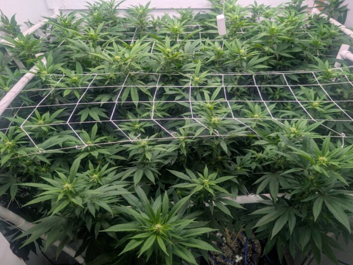 f0ef5fe3-005d-43e0-80e5-ed8df3bda8d8