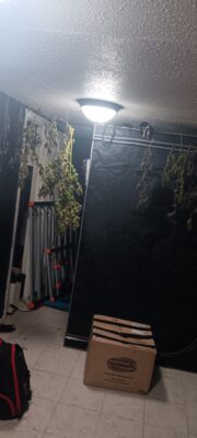 07f131bc-cee0-4c4f-83b5-edf32a74a94e