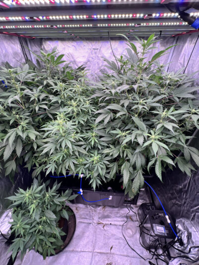 721C5D0F-A968-4912-BE7D-92899C1D3207