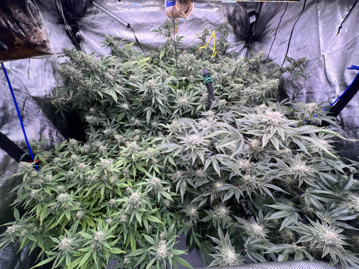 35138B6B-1E4C-493A-992F-D45AD124BD4F