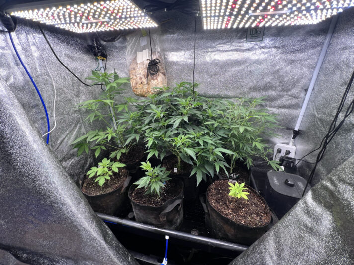 B3669D51-D524-4812-92B6-DCB0E7DEF982