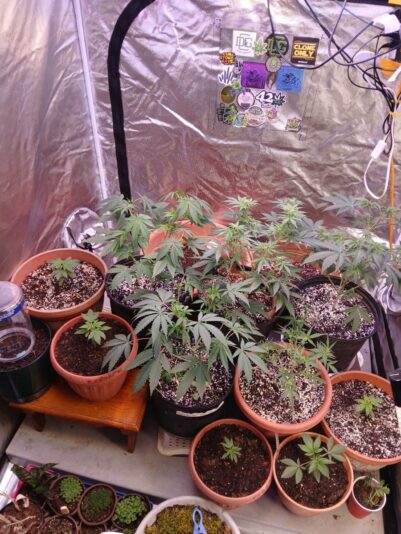 2dc7b098-3e20-492c-916a-f9f28840f270