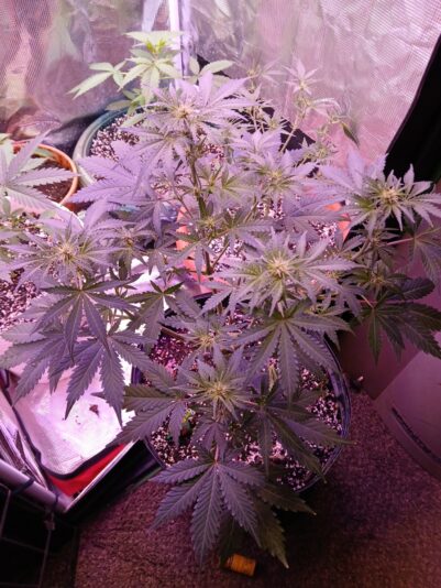 494ef7bb-eee3-40d4-8e97-dce567ef98c3