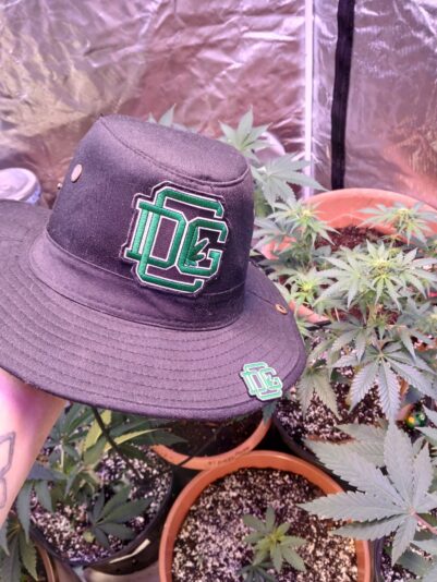 a91b4ec2-00b3-4806-9a99-00d24fb882a2