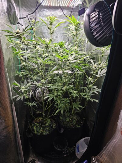 5180d312-1c51-4fc5-89a8-4e0305bd55cf